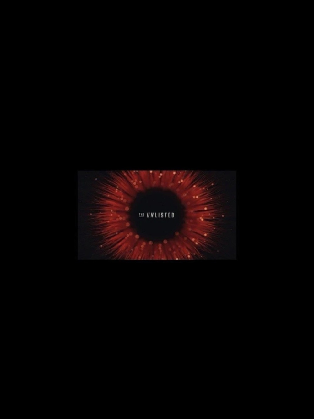 Unlisted Red and Black Item